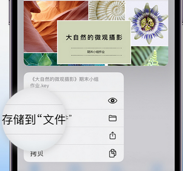 花山apple维修中心分享iPhone文件应用中存储和找到下载文件