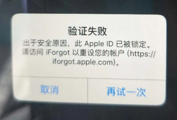 花山iPhone维修分享iPhone上正常登录或使用AppleID怎么办 