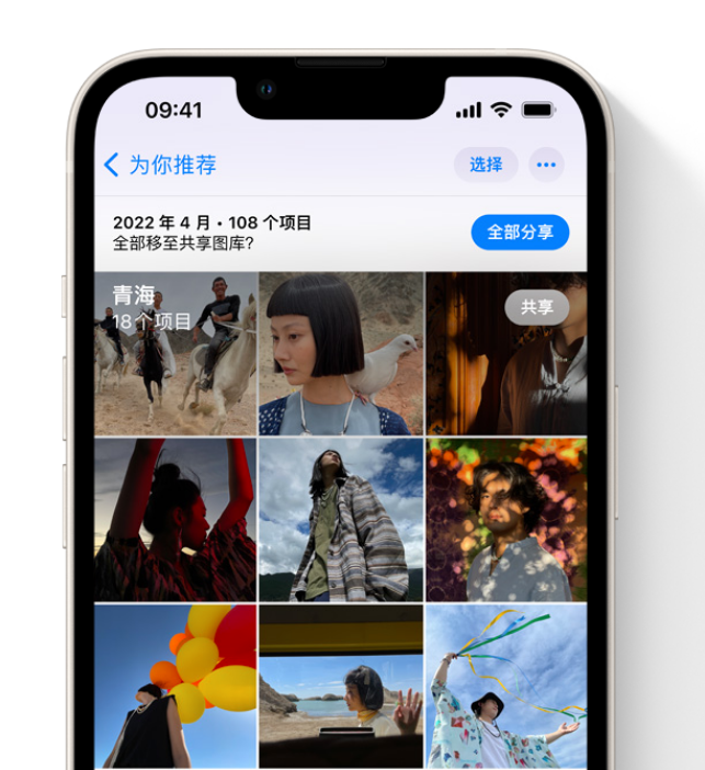 花山苹果维修网点分享在 iPhone 上使用共享图库 