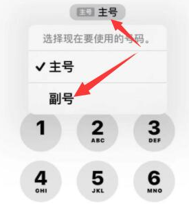 花山苹果14维修店分享iPhone 14 Pro Max使用副卡打电话的方法 