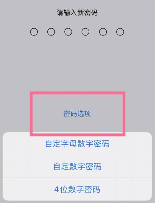 花山苹果14维修分享iPhone 14plus设置密码的方法 