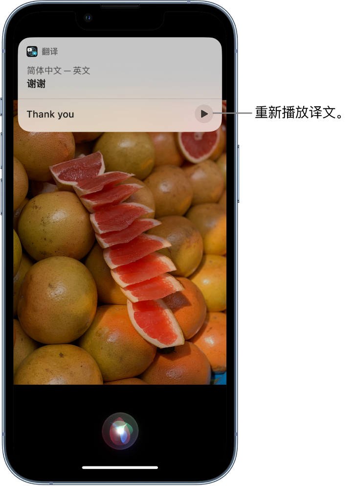 花山苹果14维修分享 iPhone 14 机型中使用 Siri：了解 Siri 能帮你做什么 