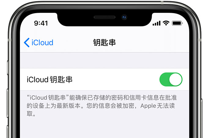 花山苹果手机维修分享在 iPhone 上开启 iCloud 钥匙串之后会储存哪些信息 